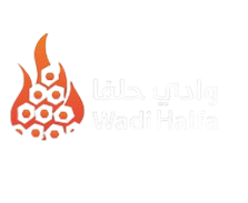 وادي حلفا Logo