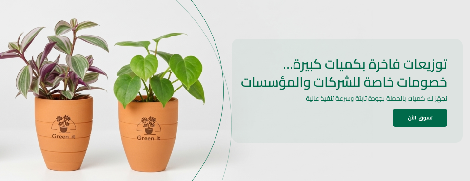 Green It image-slider-1