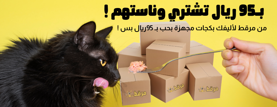 مرقط image-slider-0