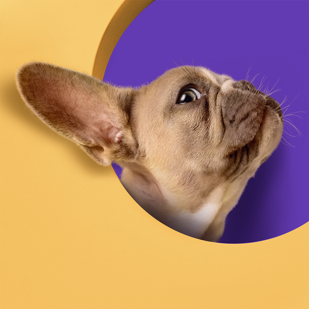 المكافآت و المكملات