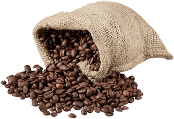 حبوب قهوة طازجة