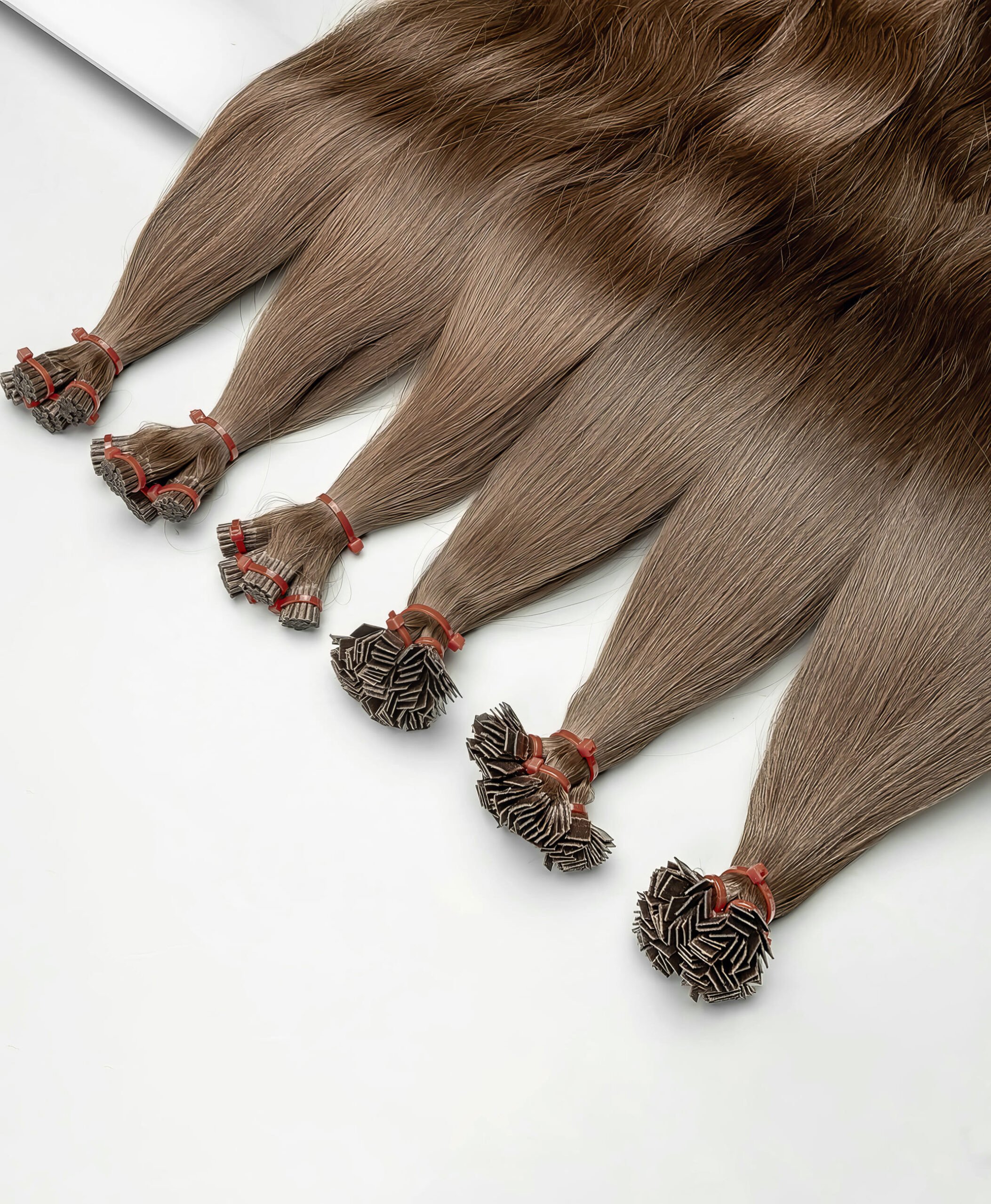 تابعونا على وسائل التواصل الاجتماعي