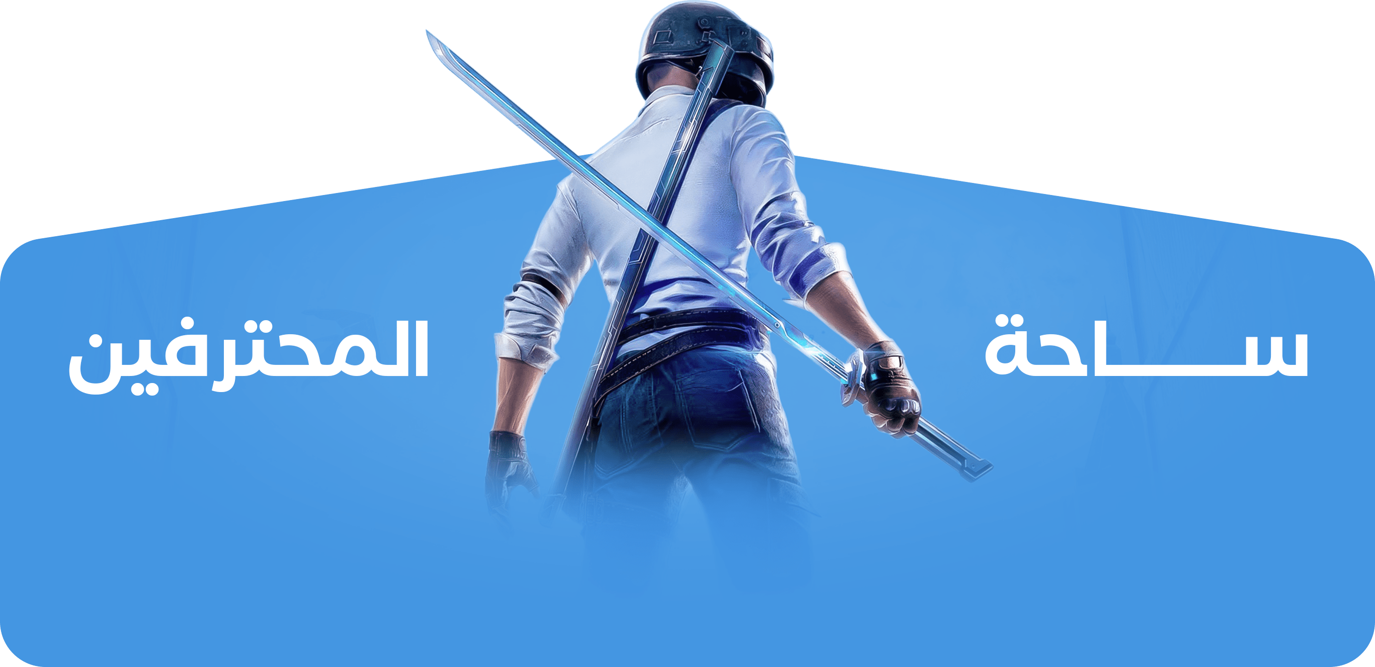 category banner