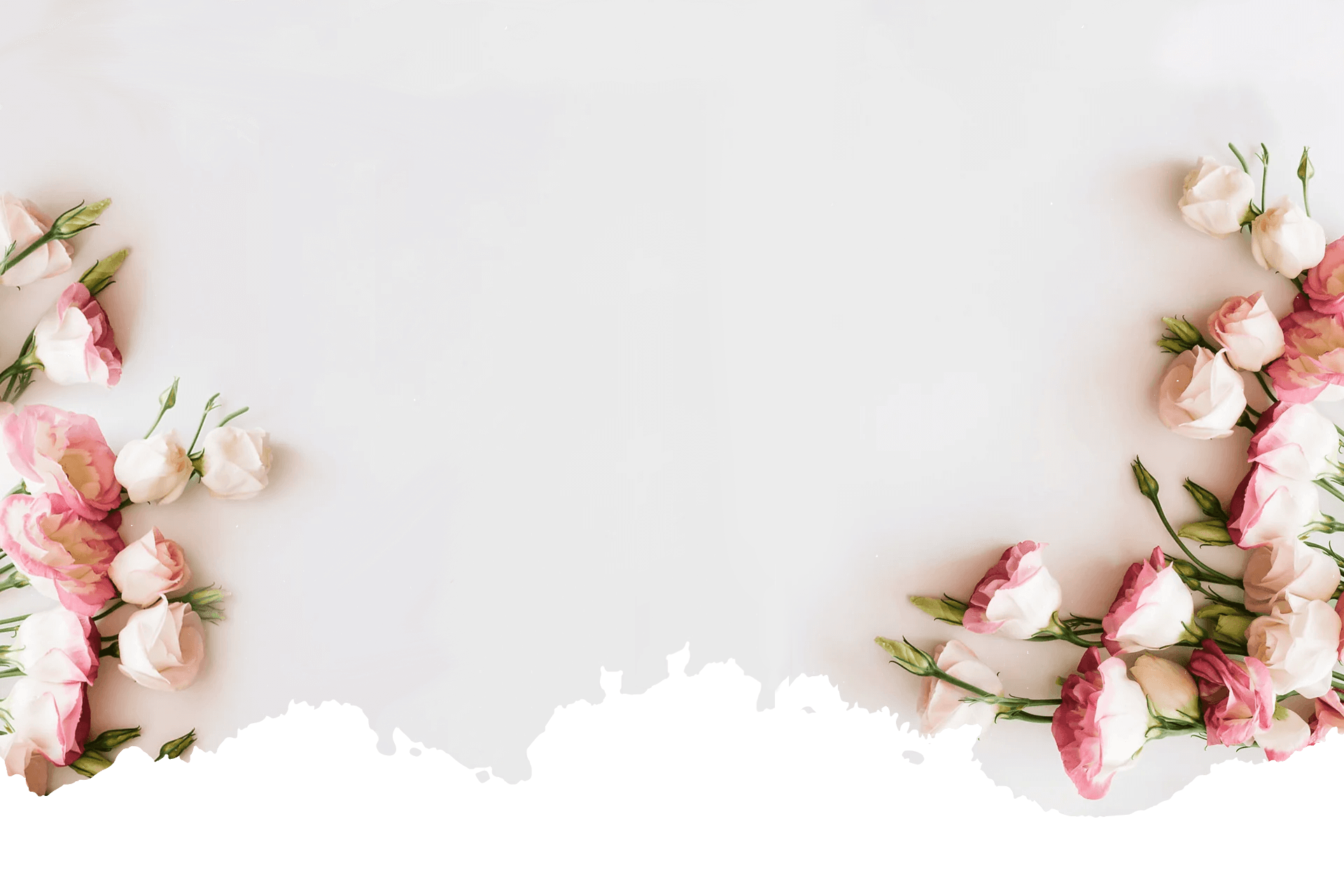 هدايا ريوف | Riof Gift