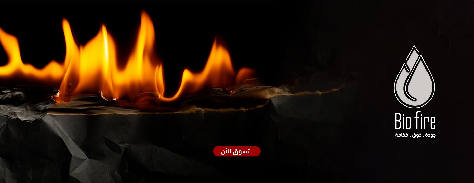 Bio FirePlace image-slider-0