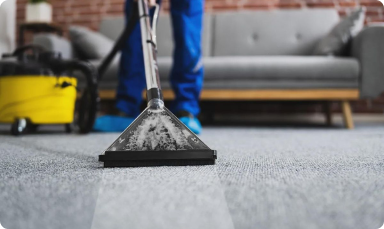 النظافة أسلوب حياة