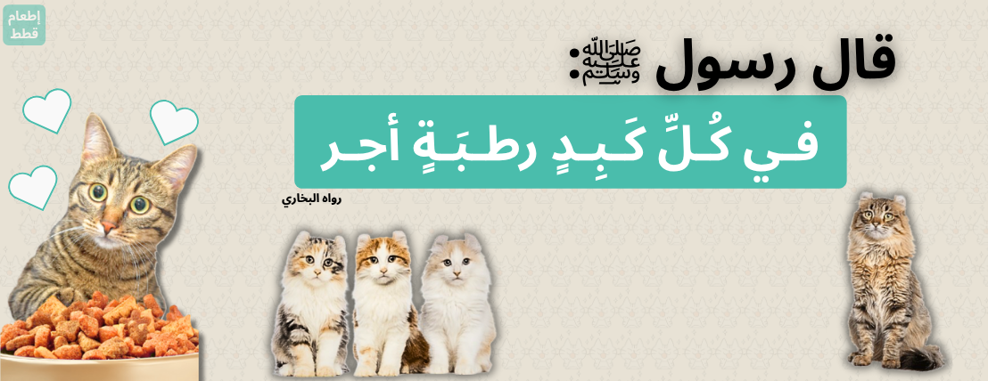 إطعام قطط image-slider-0