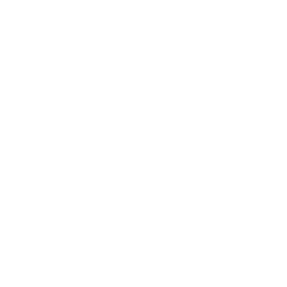 راسيال Logo