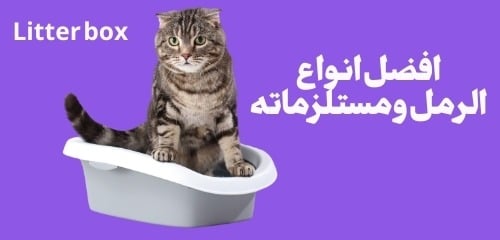 fixed banner