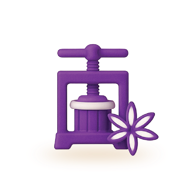 معصرة نجمة اليانسون