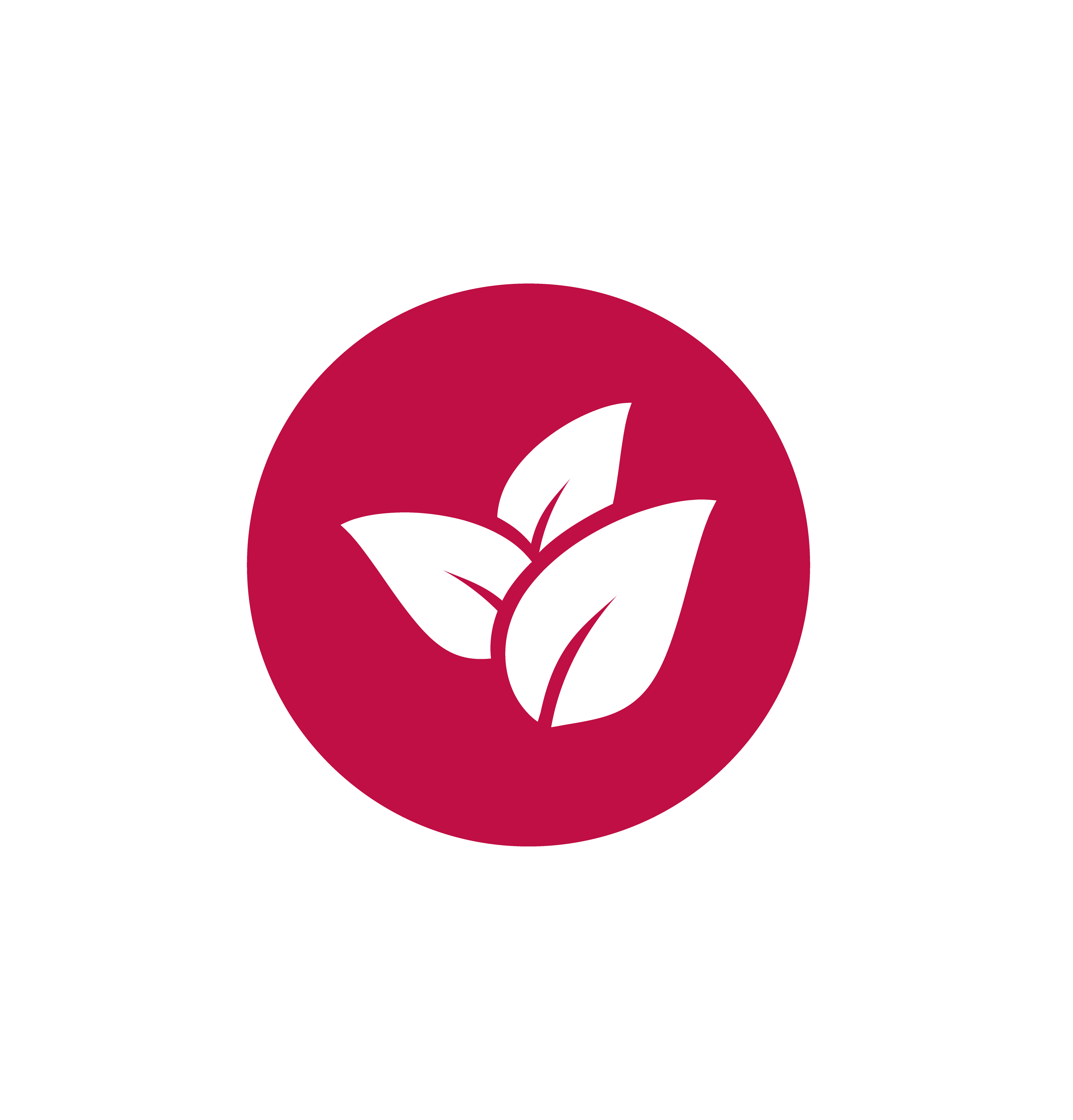 feature icon image