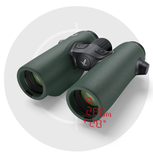 Binoculars - درابيل عين