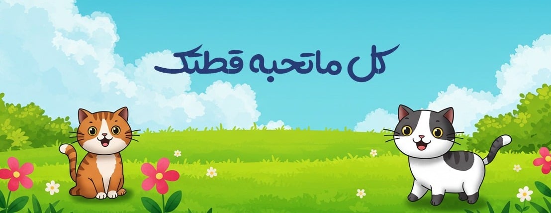 مملكة الريش image-slider-1