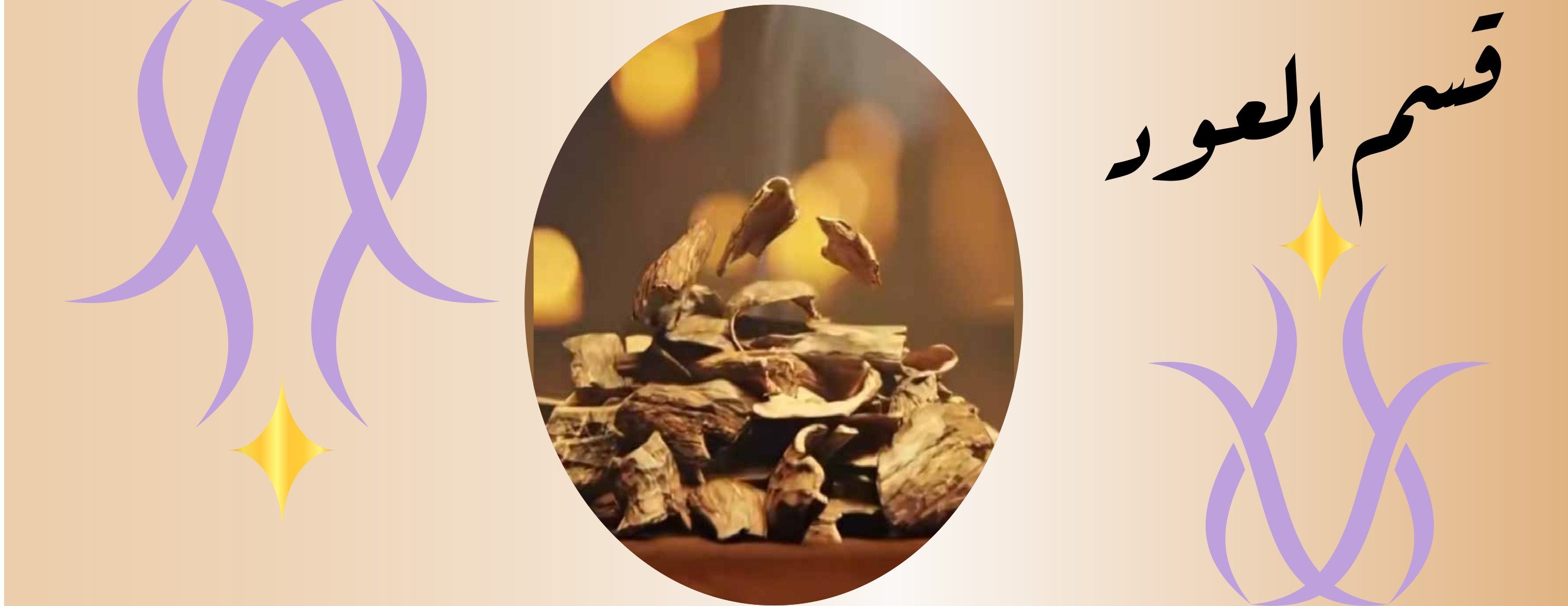 طيب الحياة للعود image-slider-0