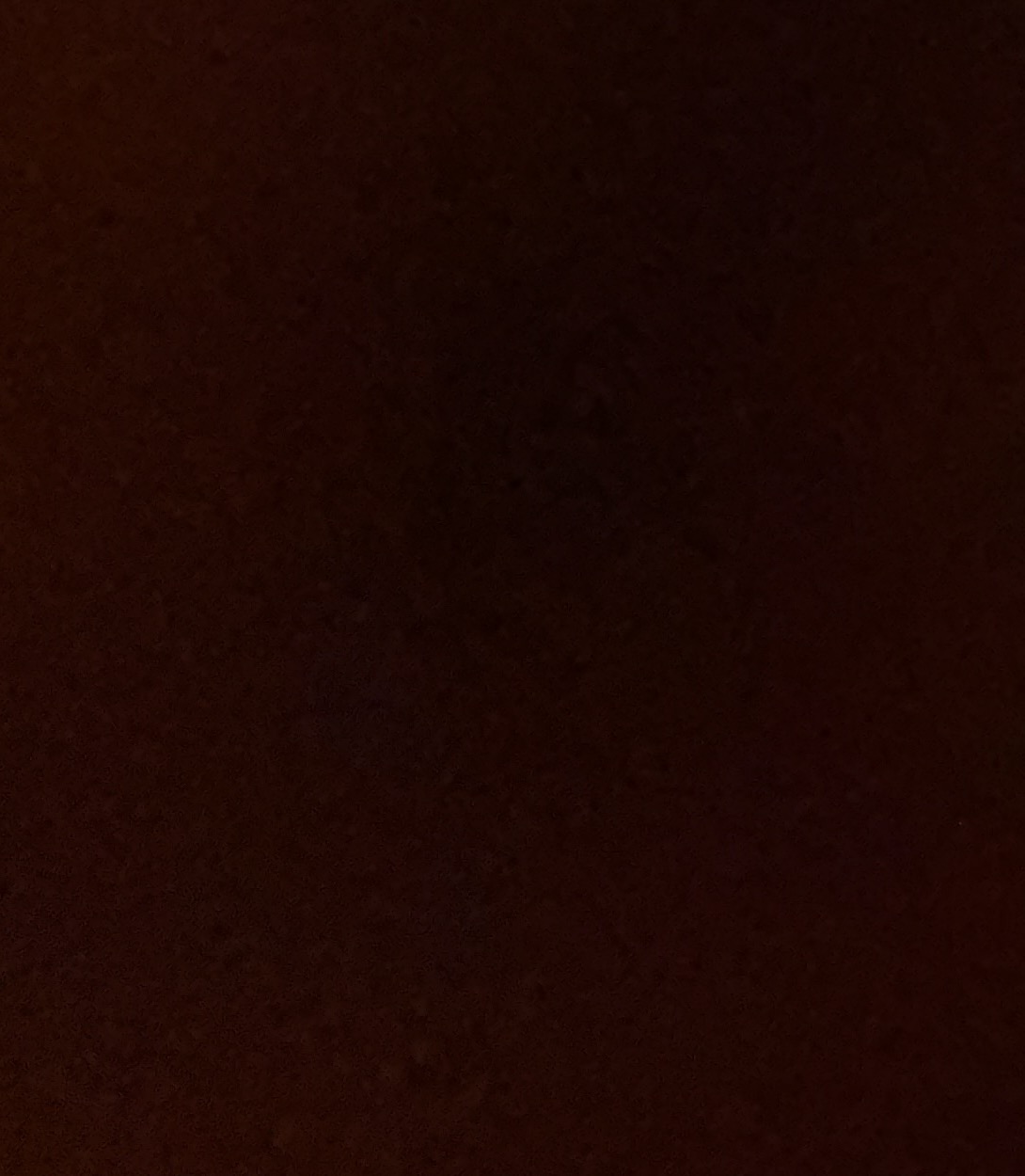 سميه العسيري