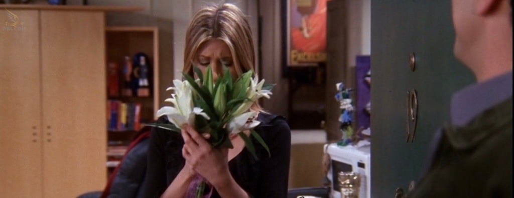 Rozy.Box image-slider-2