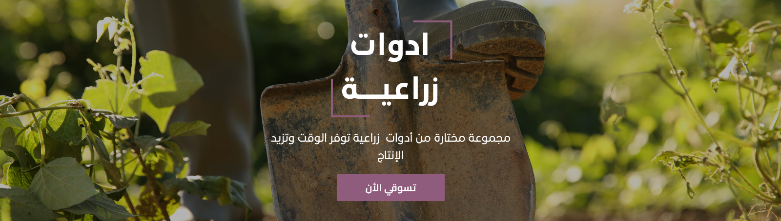 حوايج سارّة - hawayijsarah image-slider-0