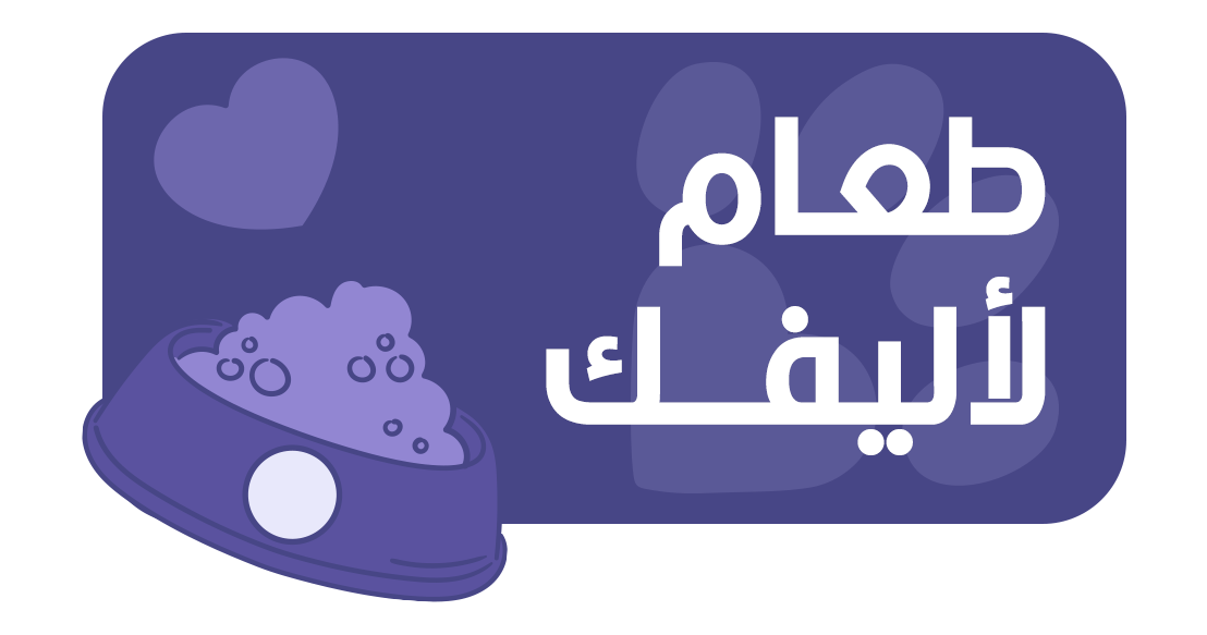 بيتو سيتي | Peto city image-slider-0