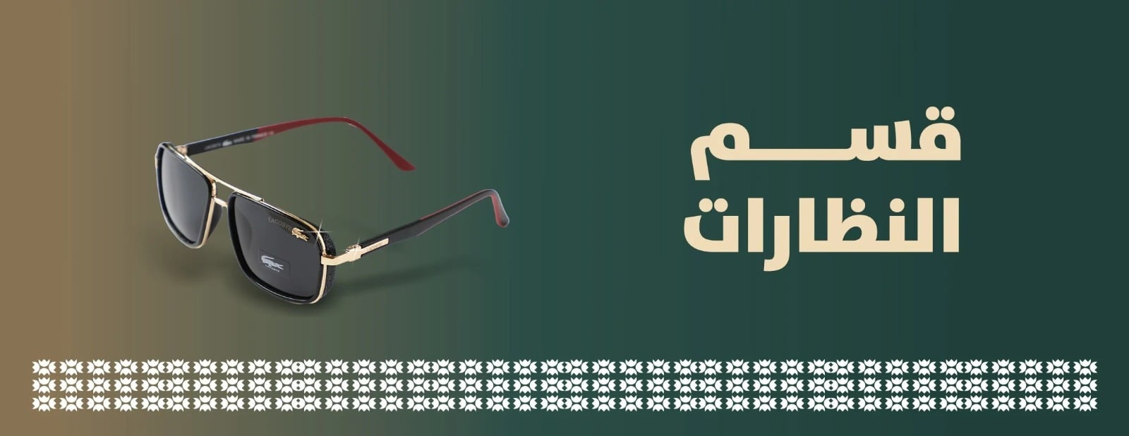 dana saleh image-slider-2