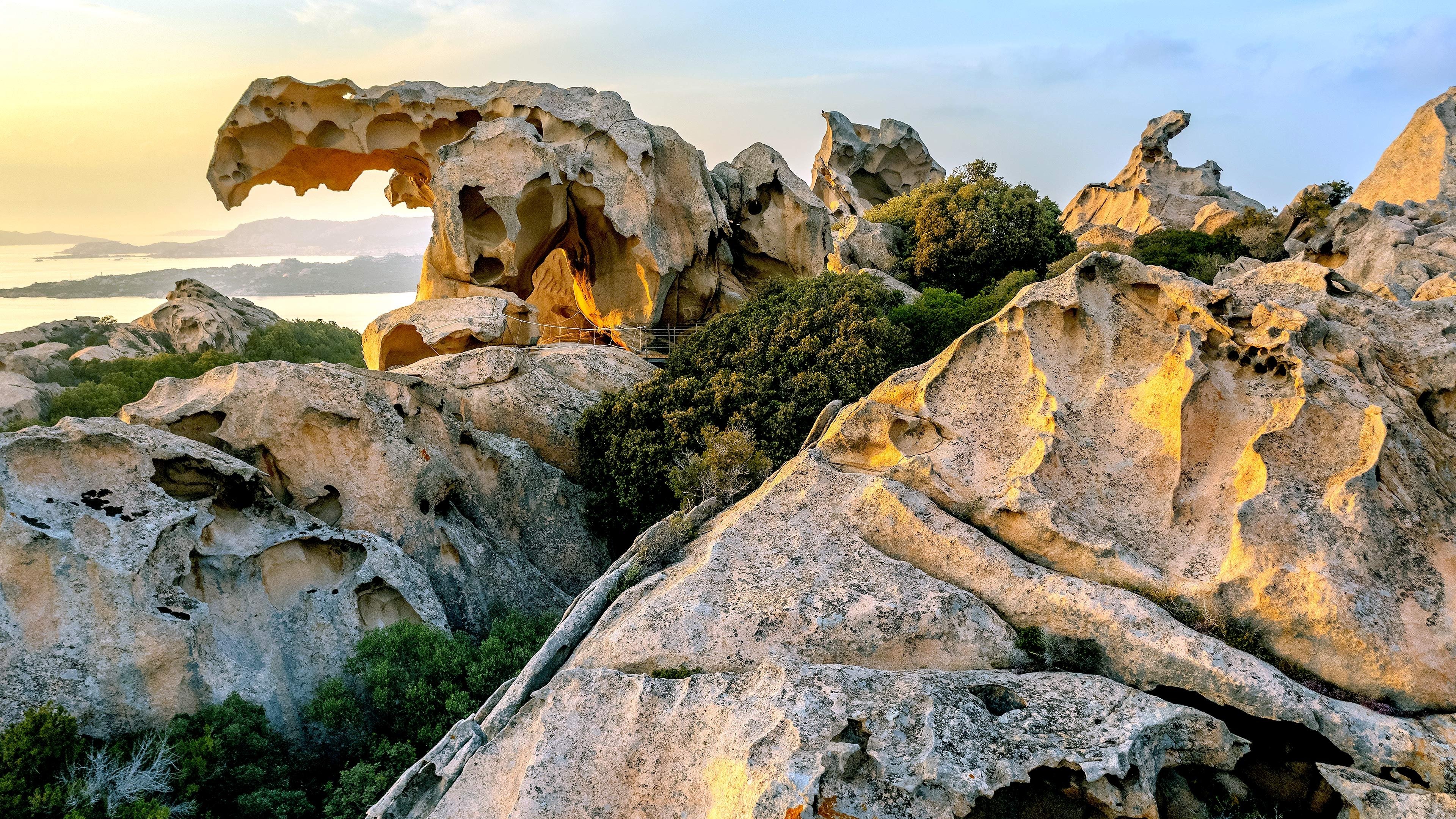 احمد الشمري