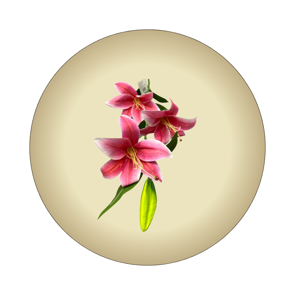 وردة الزنبق والليليوم