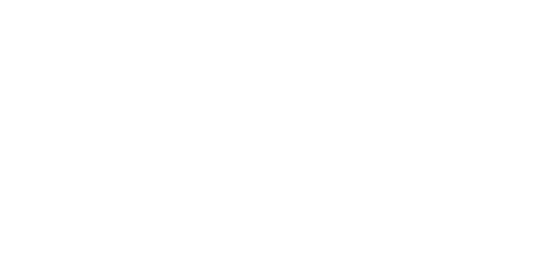 حماة الوطن