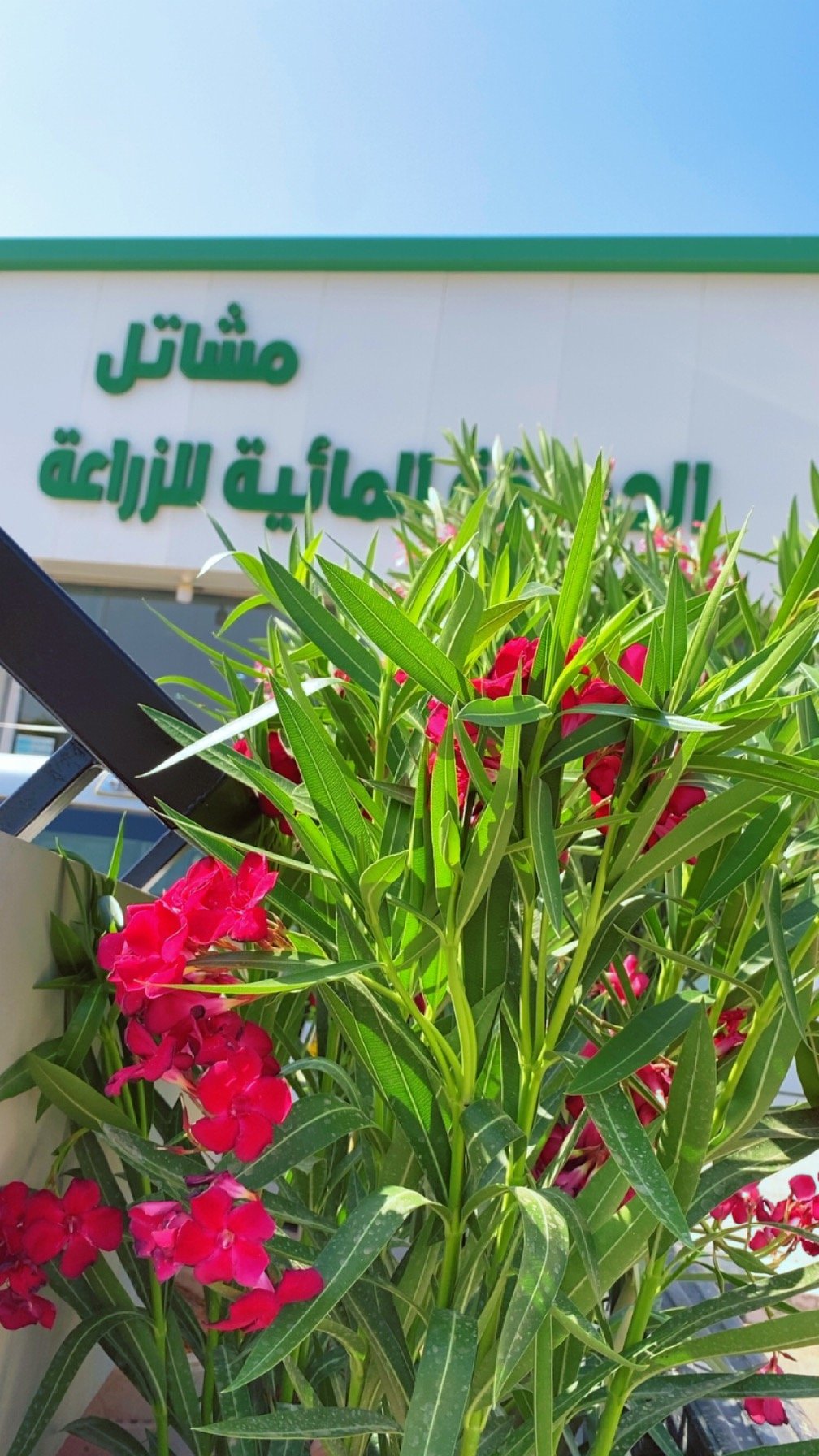 موسسه مشاتل الحديقة المائية