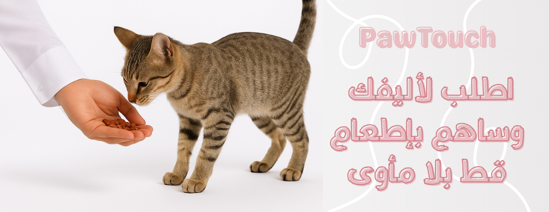 PawTouch image-slider-0