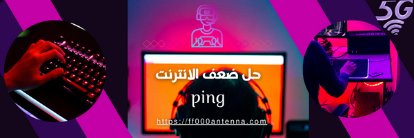 الرائيسية