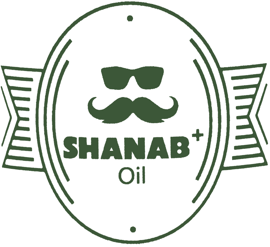 Shanb Plus