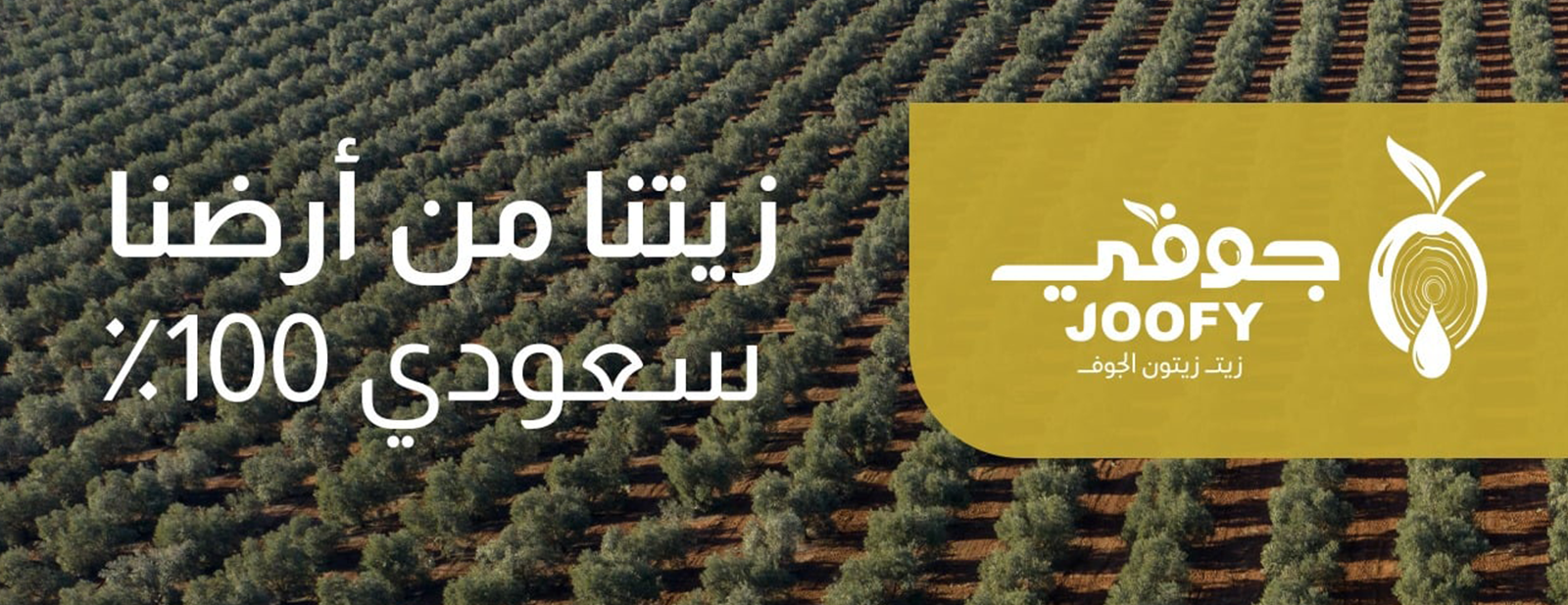 جوفي image-slider-0