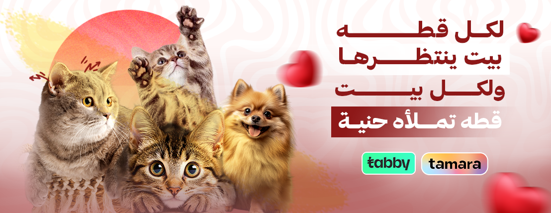 Mini zoo image-slider-1