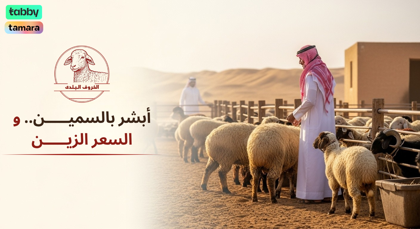 الخروف البلدي image-slider-0