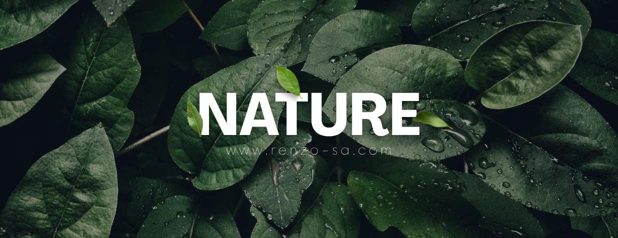 Renzo - رينزو image-slider-0