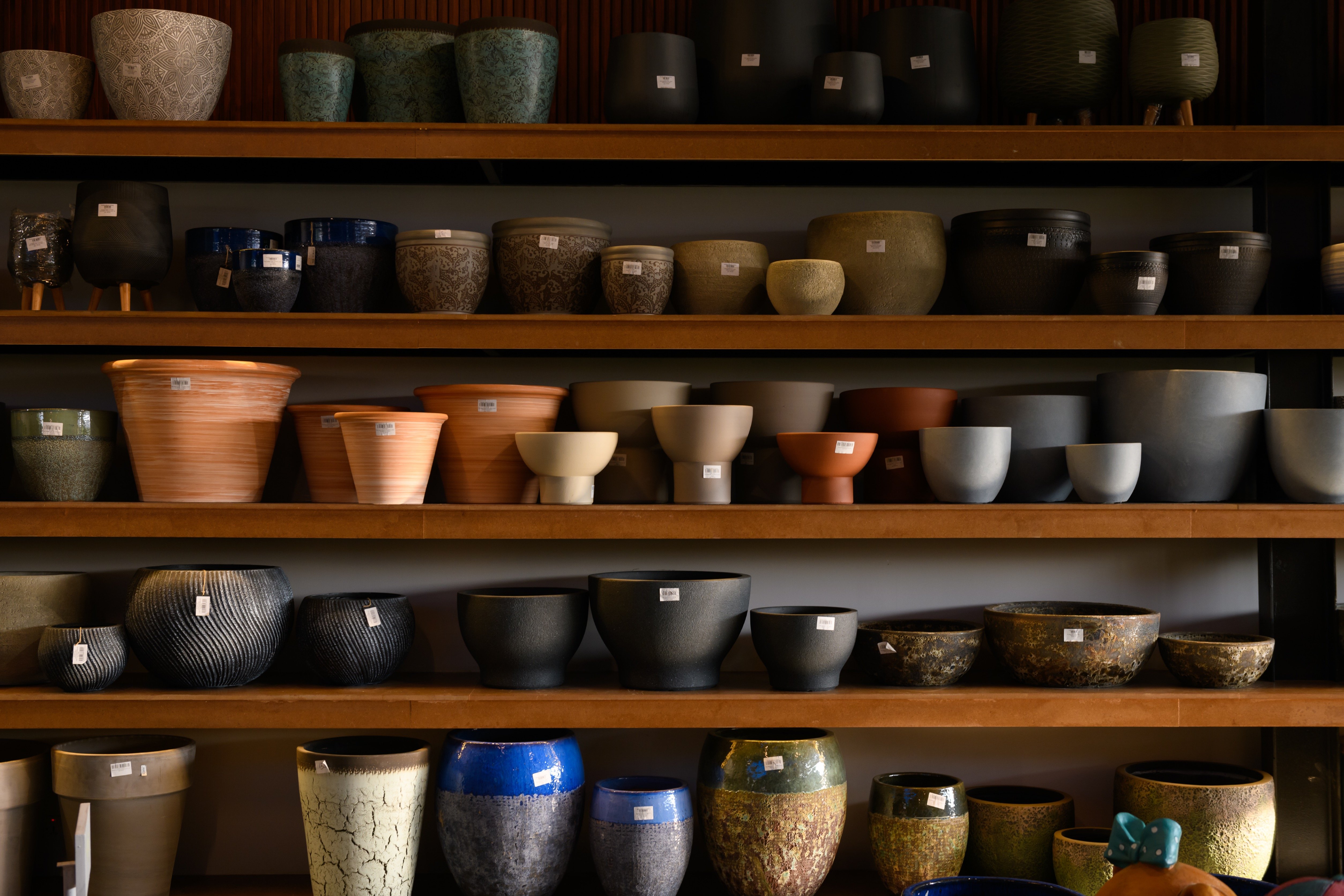 المراكن والأحواض