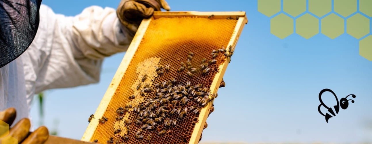 نبع الشهد image-slider-2