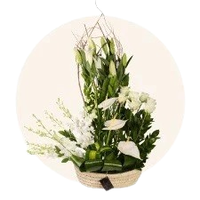 الفازات والزينة