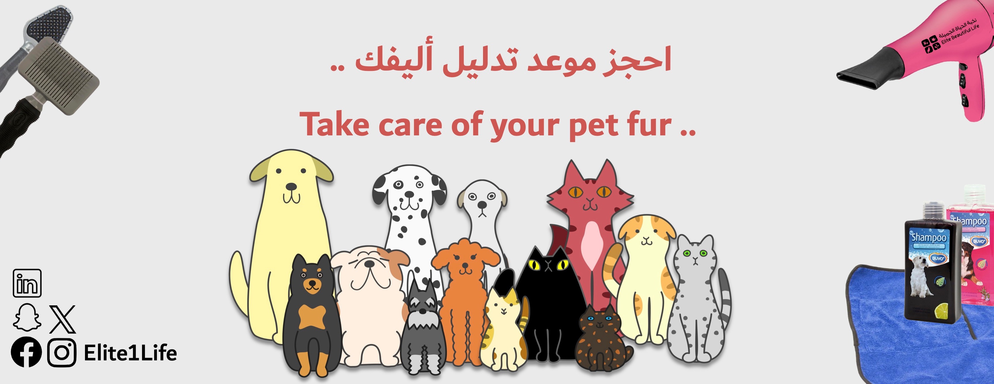 Elite Beautiful Life image-slider-5