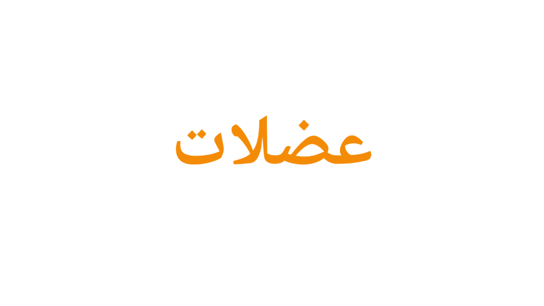 عضلات