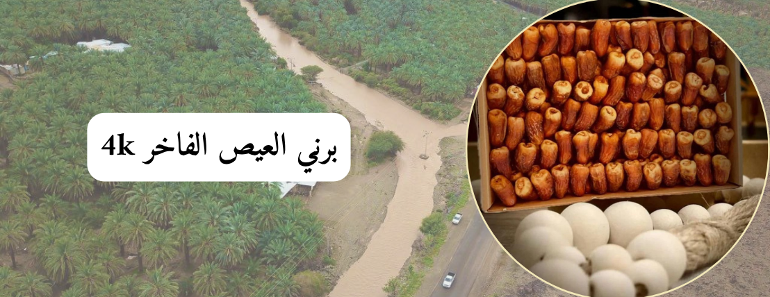 برني العيص image-slider-0