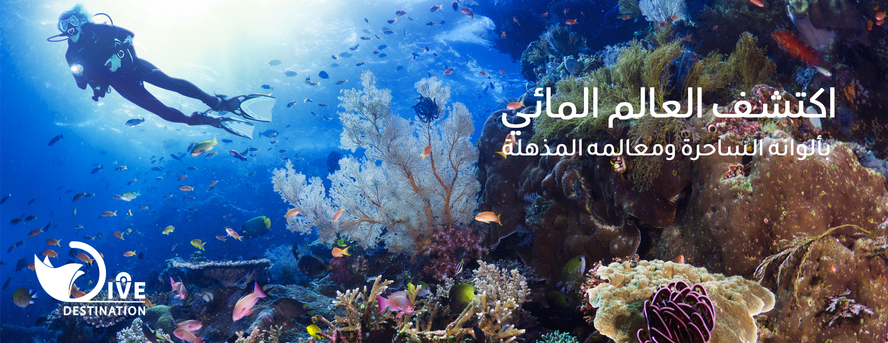 دايف ديستينيشن | Dive Destination image-slider-0