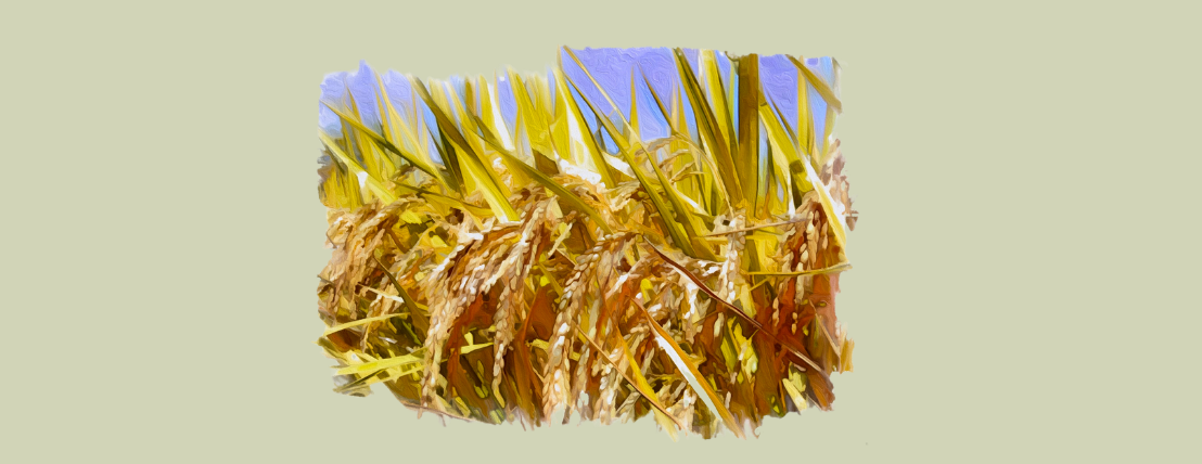 Themar AlAhsa image-slider-0