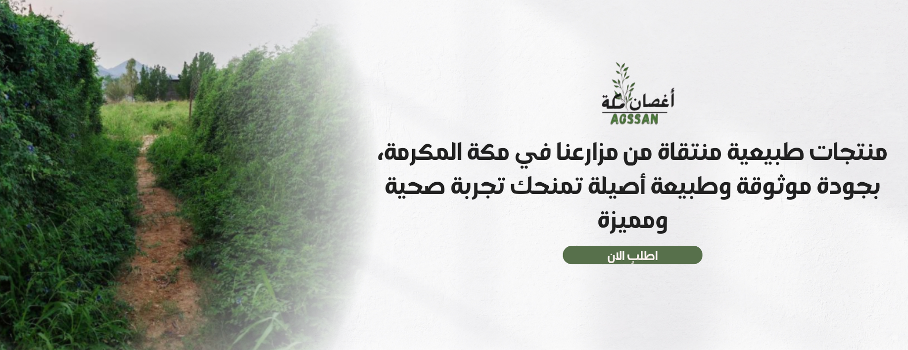 أغصان مكه image-slider-1