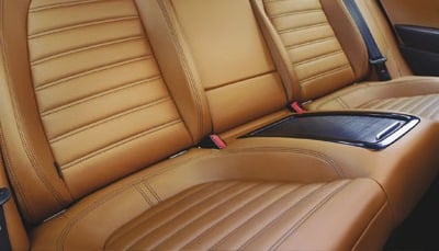 العناية بالجلد