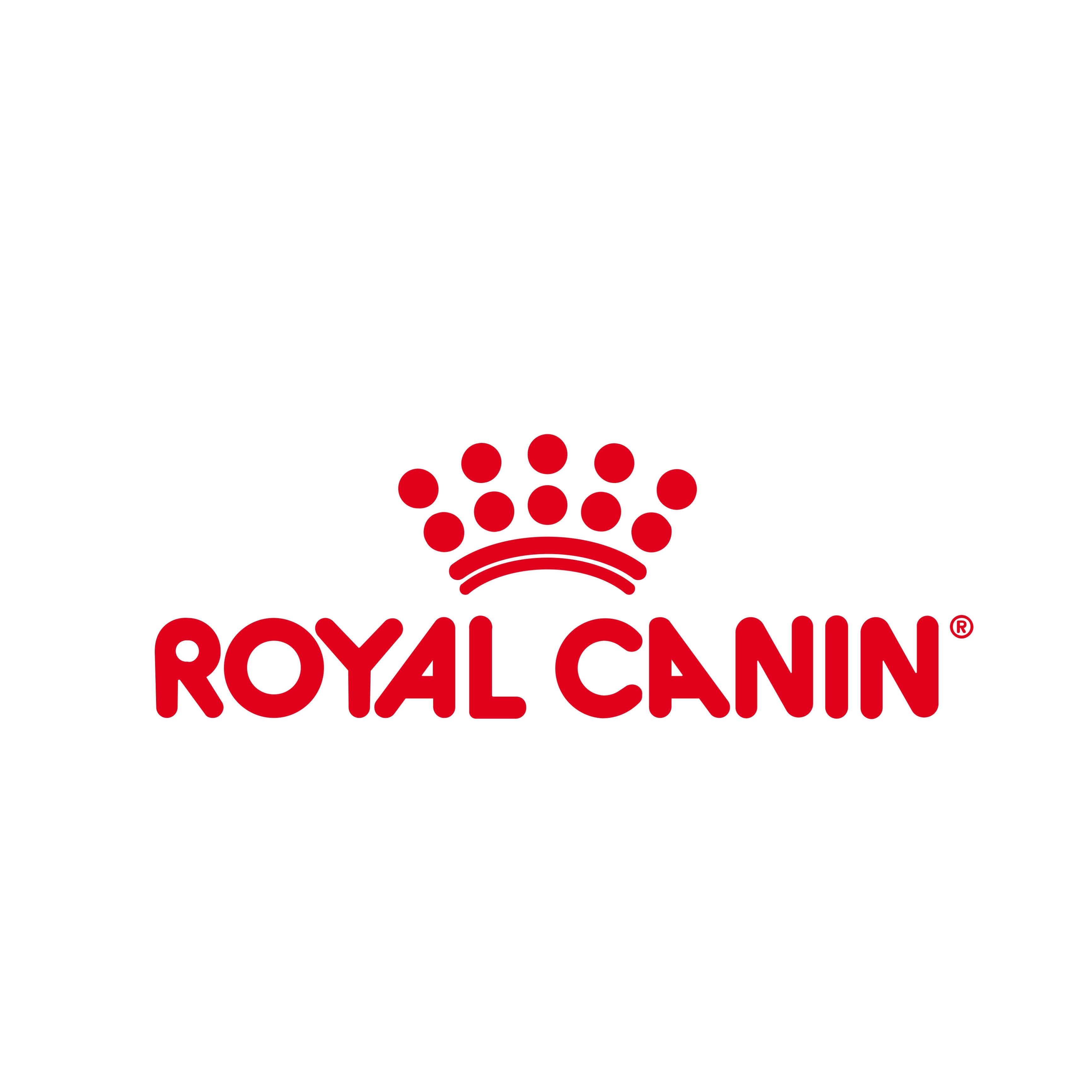 جاف رويــــال كانيــــــــــن