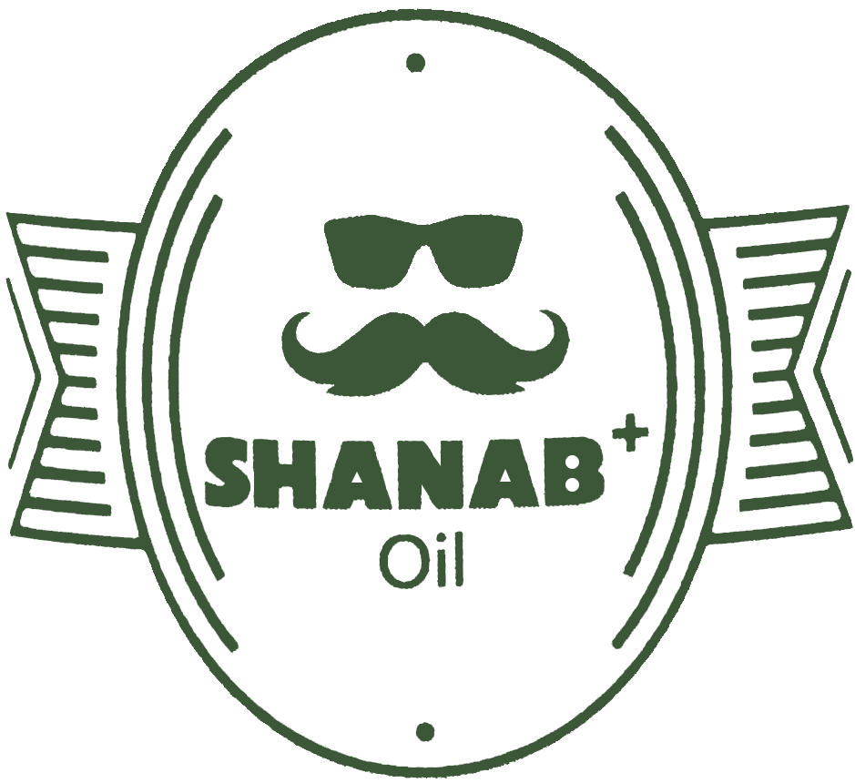 Shanb Plus