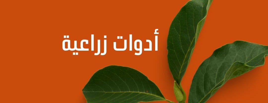 البستان image-slider-1