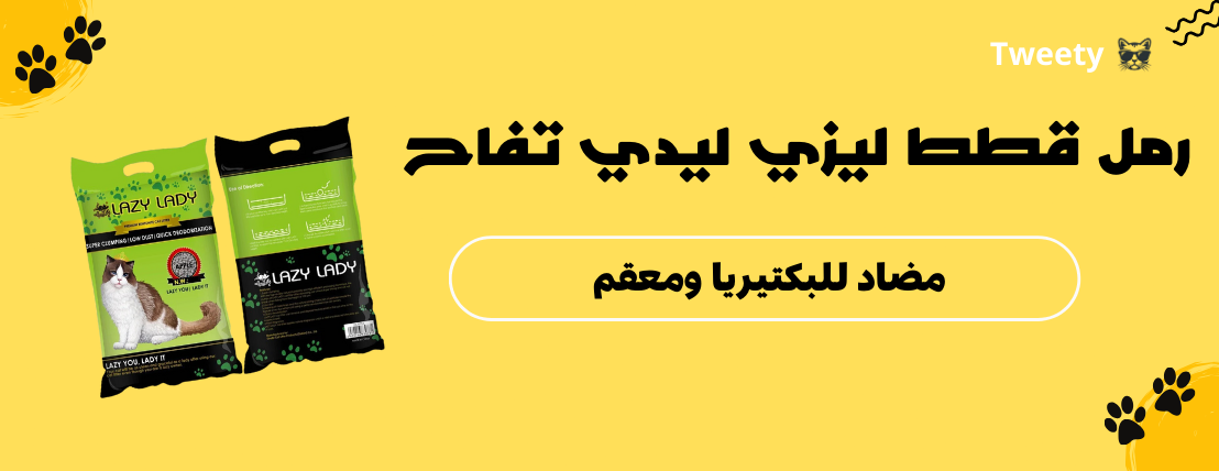 Tweety image-slider-3
