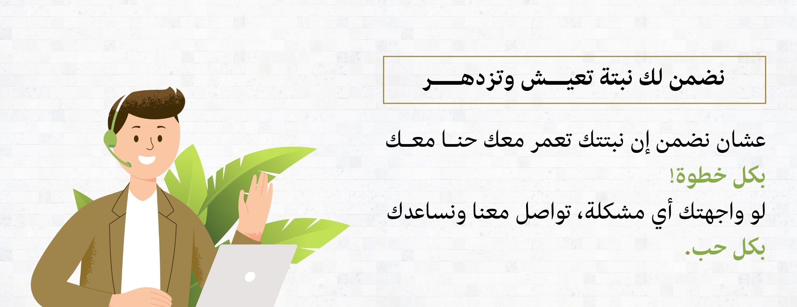 نباتات الحليلة image-slider-4