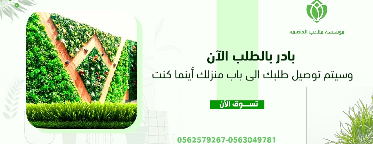 malaeibaleasima image-slider-2